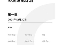 vivo重装系统教程（一步步教你如何重装vivo手机系统，让手机焕然一新）