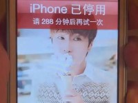 解决苹果电脑不能关闭密码错误的问题（一键解决密码错误，让苹果电脑重新归你所有）