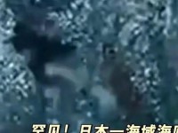 海底地震（深入探究海底地震的影响与应对）