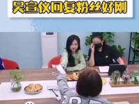 追星拍摄教程（用高清摄像技巧记录偶像的光芒与风采）