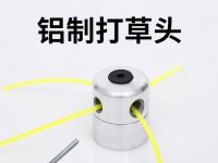 电脑上如何安装打草头绳（简易教程分享，操作轻松上手）