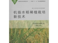 探索日本短期种植的优势与挑战（日本短期种植——高效利用土地资源的新方向）