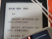 电脑有道词典错误频发的原因及解决方法（探究电脑有道词典错误原因，提供有效解决方案）
