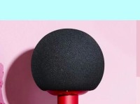 手机唱吧录音设备（探索手机唱吧录音设备的功能和优势，带您进入全新的歌唱世界）