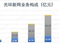 IDC行业的发展现状与趋势（探索IDC行业的关键挑战和未来发展方向）