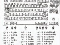 基础电脑键盘入门教程（掌握键盘布局与基本操作，提高打字效率与准确性）