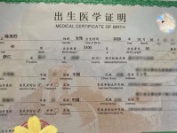 以程依然（勇往直前，不畏困难，成就非凡——程依然的故事）