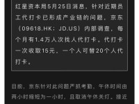 国美资本的发展现状及前景展望（以国美资本为例，探讨中国投资业的新动向）