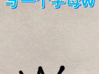 以大白菜U起动装XP教程——轻松搭建你的XP系统（让你的电脑重返经典，尽情享受XP时代）