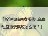 戴尔笔记本U盘换系统安装教程（一步步教你如何使用U盘为戴尔笔记本安装新系统）