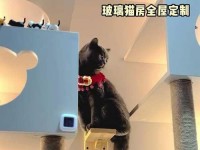 毛安装系统教程（教你轻松完成以毛的系统安装，实现个性化定制）