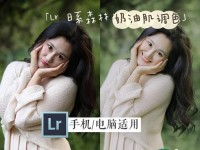 用电脑拍照调色教程