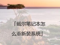 教你如何使用戴尔换系统安装教程（轻松学会戴尔换系统，让电脑重焕新生）