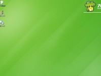 如何使用大白菜U盘隐藏分区保护个人隐私（轻松学会隐藏分区功能，保护个人资料安全）