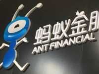 探索蓝鲸传媒的创新之道（揭秘蓝鲸传媒的策略与成功）